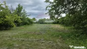 Domeniu rural, gospodarie/multifunctionala cu casa, livad... 
