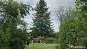 Domeniu rural, gospodarie/multifunctionala cu casa, livad... 