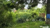 Domeniu rural, gospodarie/multifunctionala cu casa, livad... 