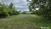Domeniu rural, gospodarie/multifunctionala cu casa, livad... 