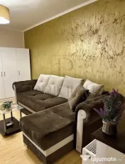 LIPOVEI - APARTAMENT 1 CAMERA - mobilat, utilat, renovat com 