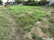 Teren cu acces facil la toate utilitățile lângă Bucur...