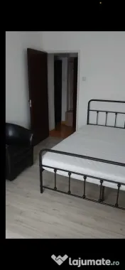 Dristor fizicienilor confort 2 