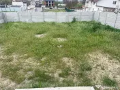 Casa parter, 129 m utili , 450 mp Malu Mare 