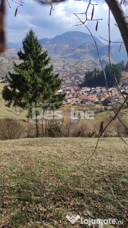 Teren 5000 mp, ideal cabana, pensiune, in zona de interes