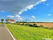 De vânzare „Casa Albă”, orașul Pecica, jud. Arad 