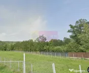 650 mp de liniste, natura si aer curat in Brebu, Prahova 