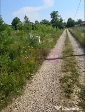 650 mp de liniste, natura si aer curat in Brebu, Prahova 