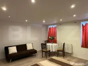 Apartament cu 1 camera, 40 mp, terasa, zona Ultracentrala