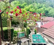 Apartament 2 camere la casa cu curte proprie Schei 