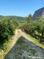 Cabane A frame + Teren 6000 mp | Proprietate deosebita, NOU 