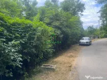 Teren de vânzare/Ocnele Mari/Ognița