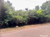 Teren de vânzare/Ocnele Mari/Ognița 