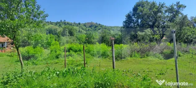 Teren intravilan 1.000 mp cu PUZ, priveliște Munții Făgă