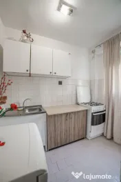 Pantelimon 113 Armenesc,vedere pe spate,13 min.metrou Iancul 