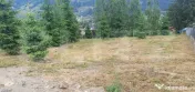 Teren 3.268 mp, intravilan, zona Vatra Dornei