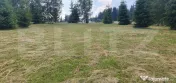 Teren 3.268 mp, intravilan, zona Vatra Dornei