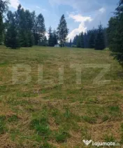 Teren 3.268 mp, intravilan, zona Vatra Dornei