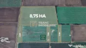 Teren agricol de 11,75 ha de vânzare, la 1,5 km de Turnu... 