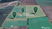 Teren agricol de 11,75 ha de vânzare, la 1,5 km de Turnu... 