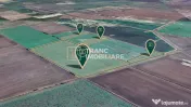 Teren agricol de 11,75 ha de vânzare, la 1,5 km de Turnu... 