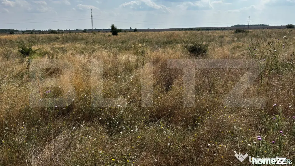 Teren intravilan 1.235 mp, deschidere 27,5 ml, zona Carcea - Carcea (Dolj)