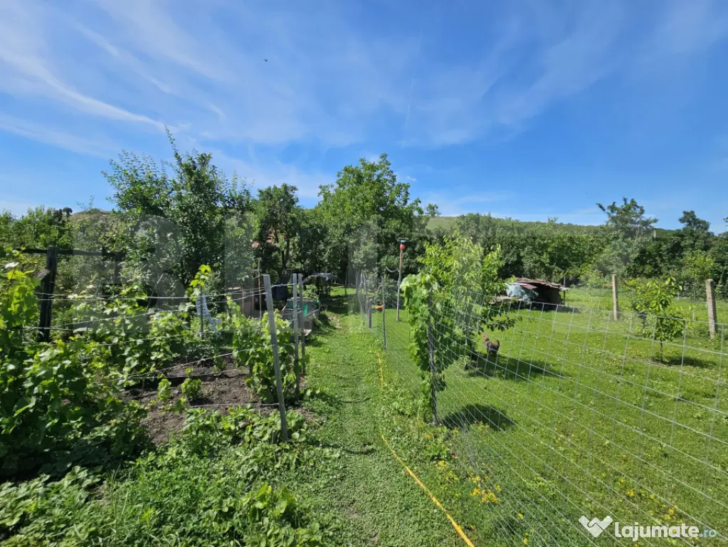 Casă renovată, 4.237mp teren intravilan, Dublu front strad
