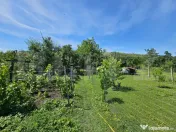 Casă renovată, 4.237mp teren intravilan, Dublu front strad 