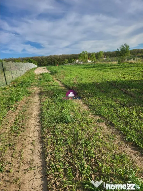 Teren 5600 mp Snagov Lac