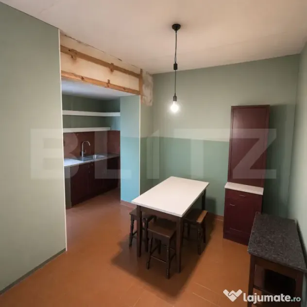 Casa idividuala 133 mp utili, Freidorf