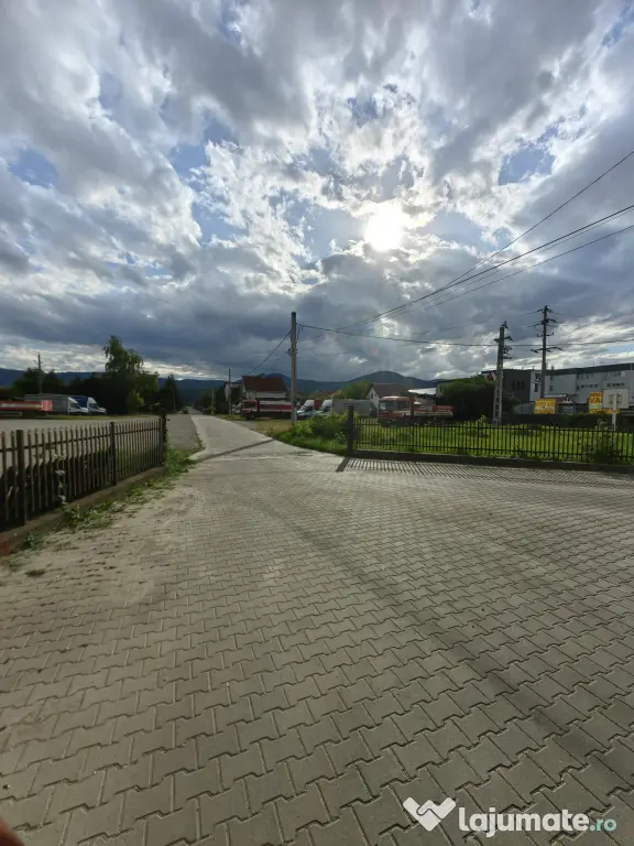 Teren Dumbrava Roșie