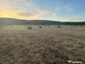 Baloți vanzare fân și lucernă
