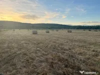 Baloți vanzare fân și lucernă