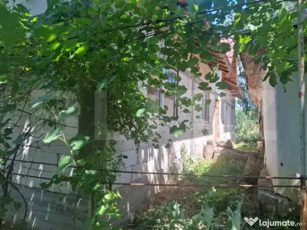 Casa cu priveliste panoramica deosebita + multa vegetatie