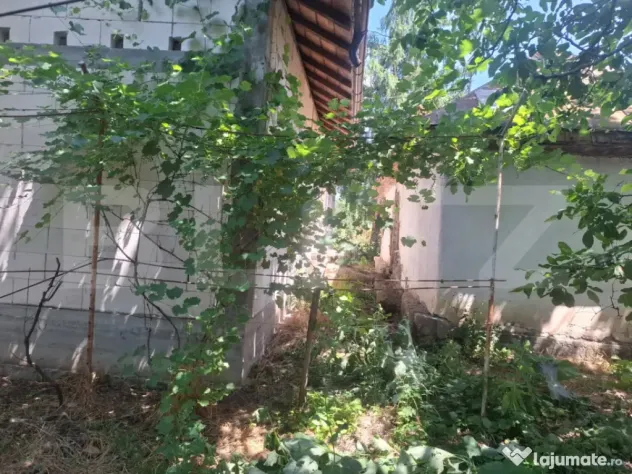 Casa cu priveliste panoramica deosebita + multa vegetatie