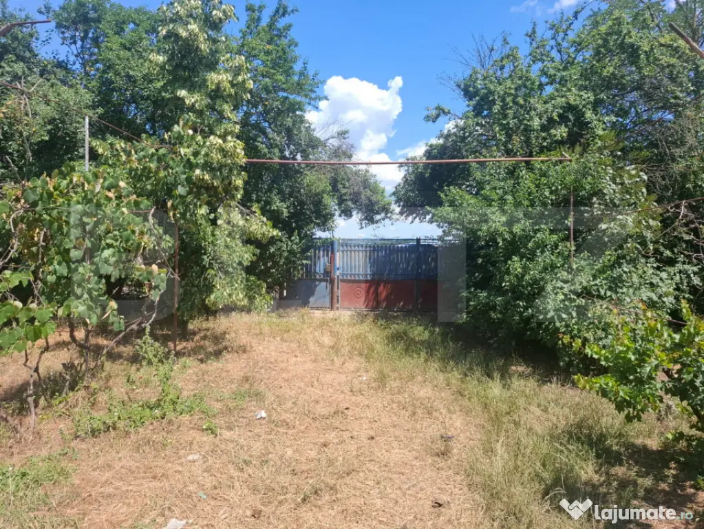 Casa cu priveliste panoramica deosebita + multa vegetatie