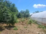 Casa cu priveliste panoramica deosebita + multa vegetatie 