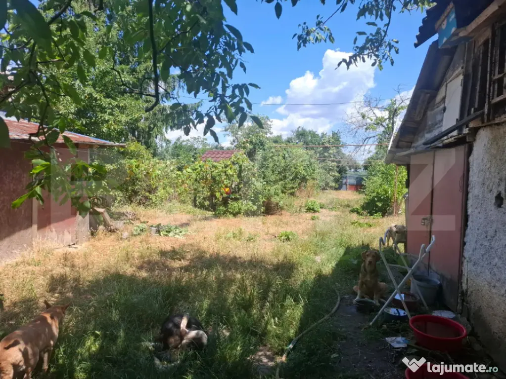 Casa cu priveliste panoramica deosebita + multa vegetatie