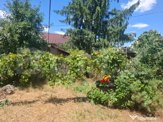 Casa cu priveliste panoramica deosebita + multa vegetatie