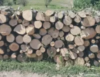 Vand lemn de foc 