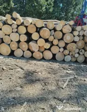Vand lemn de foc