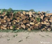 Vand lemn de foc