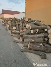 Vand lemn de foc