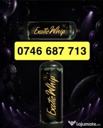 Exotic Whip București