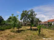 Casa cu teren generos de vanzare in Sibot, jud.Alba 