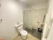 Garsoniera- curte 50 mp- Metrou tineretului 