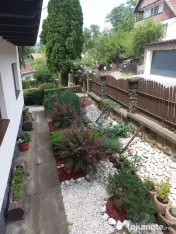 Cazare camere Sovata: Destinația Perfectă Pentru Turism Și Recreere