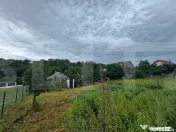 Teren si casa batraneasca 3100 mp, Zaicesti 