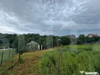 Teren si casa batraneasca 3100 mp, Zaicesti 