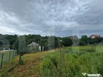 Teren si casa batraneasca, 3100 mp, Zaicesti